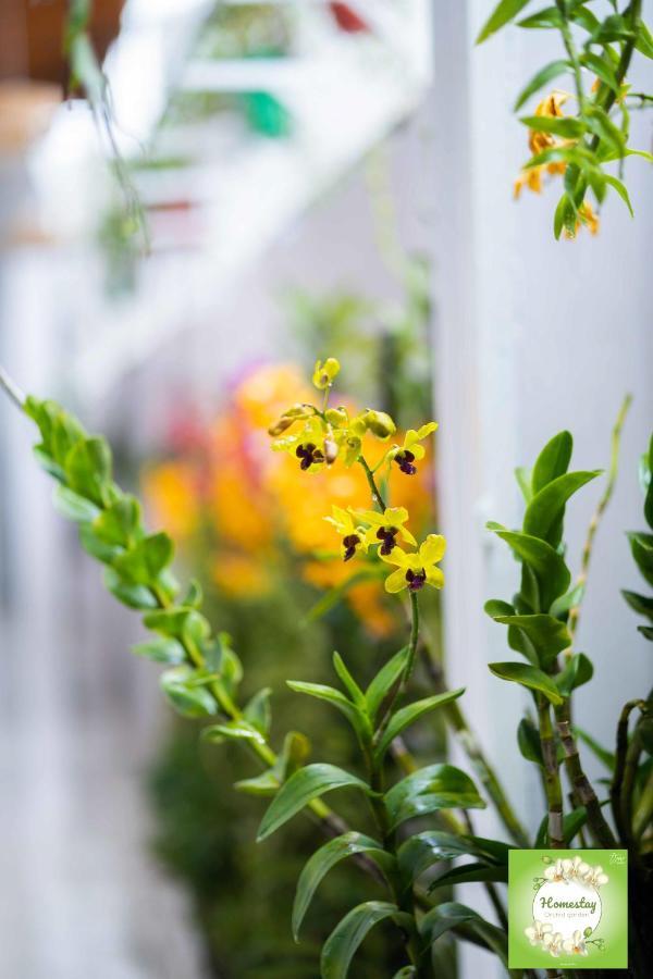 Can Tho Orchid Garden Homestay מראה חיצוני תמונה